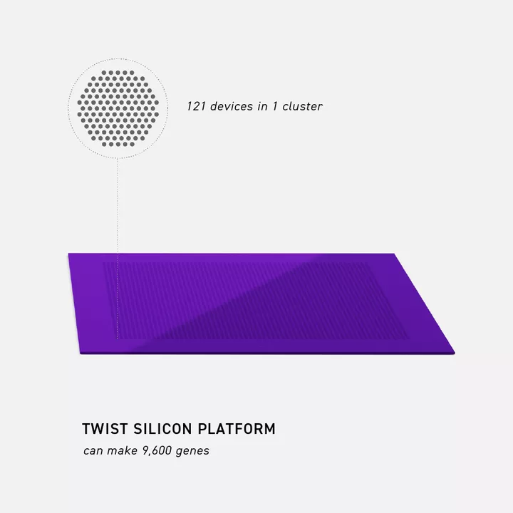 Twist silicon platform