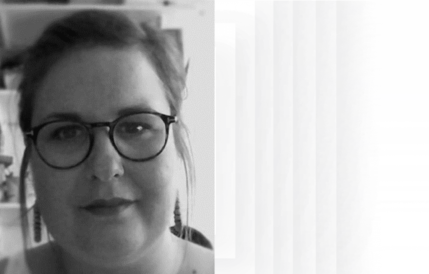 In Silico Accelerated Antibody Characterization