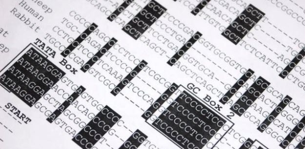 2022-06-01_9-23-51_0