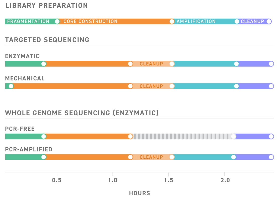 NGS Library Preparation Workflow