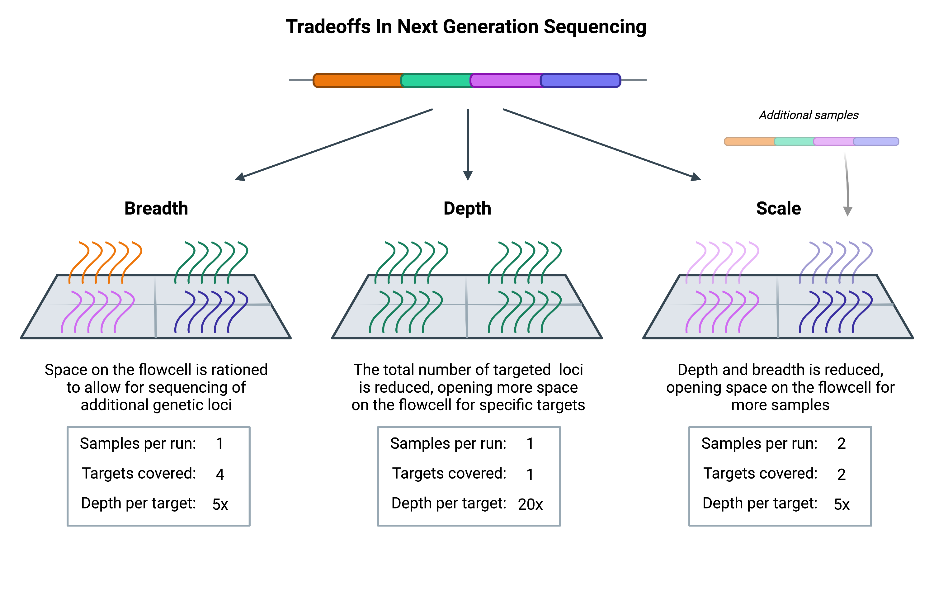 Tradeoffs in Next Generation Sequencing Image showing the consideration when balancing breadth, depth, and scale in NGS sequencing.