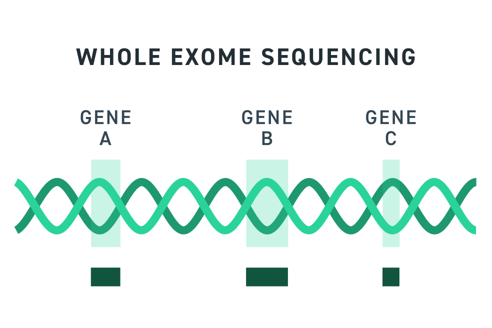 Whole Exome Sequencing Diagram