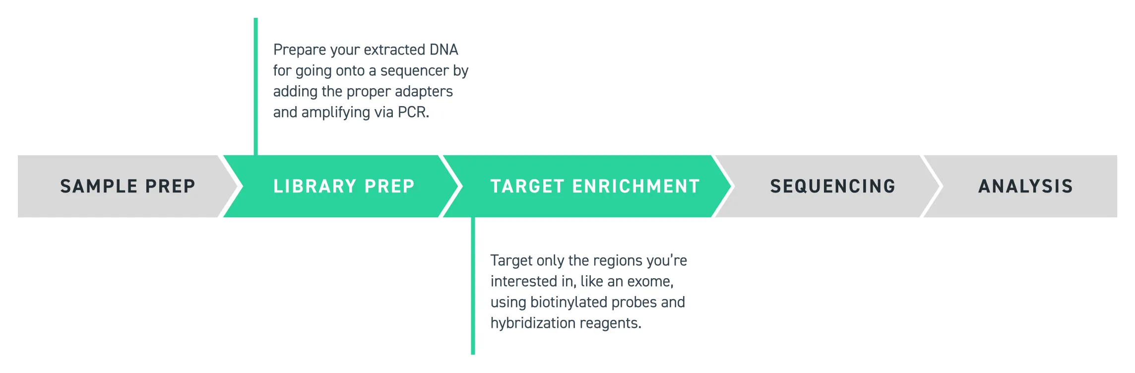 figure-exome