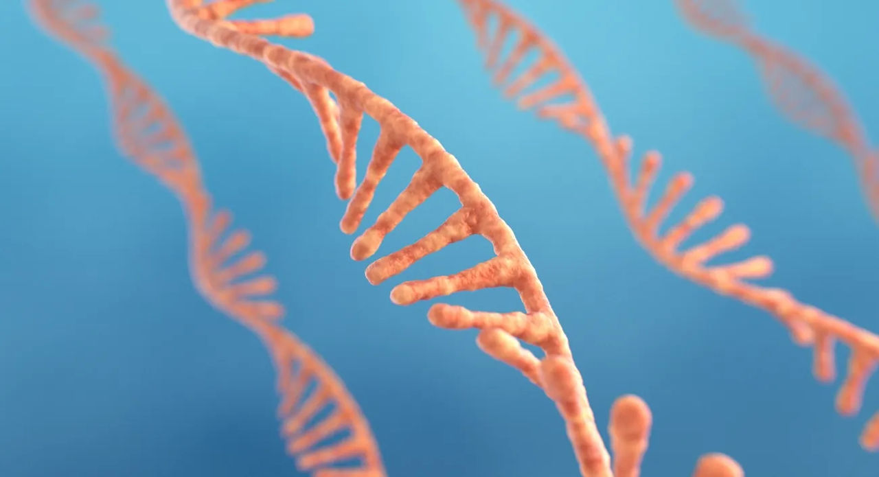 Rendering of orange single stranded DNA against a blue background